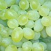 Hope Grapes