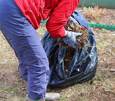 Woman bagging garden twigs and debris into a large garbage bag