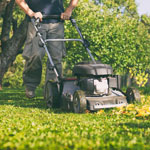 Fall Lawn Care 