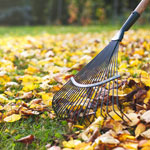 Raking Leaves - Is it worth it? 