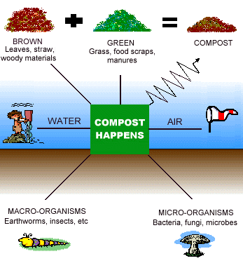 Compost Cycle Compost Cycle