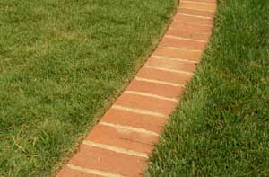 Picture of Zoysia (Zoysia sp.) turf form as lawn with red brick landscape border.