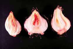 Picture of a bulbs.