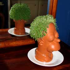 Picture of Chia Pet head