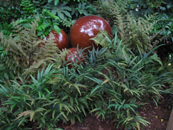 Picture of a East India Holly Fern