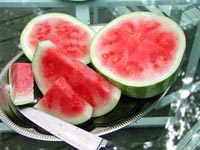 Picture of sices of Seedless Watermelon ready for eating.