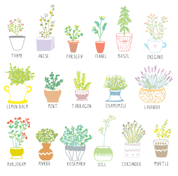 illustration of 18 different herbs in flower pots