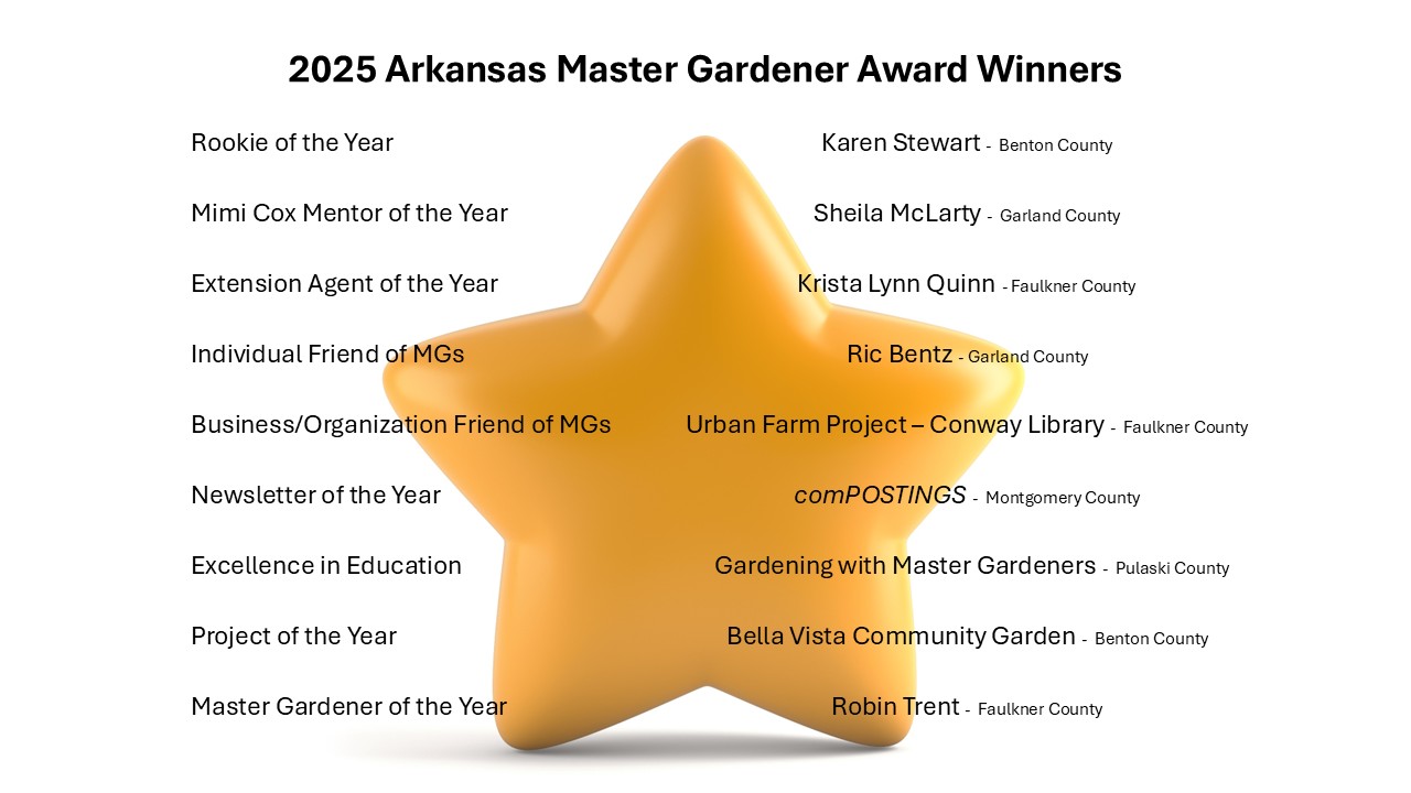 2026 MG Award Winners