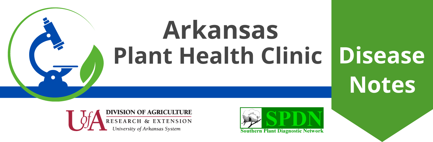 Arkansas Plant Health Clinic | Disease Notes | University of Arkansas System, Division of Agriculture, Research and Extension | graphic of microscope encircled by a leaf | Southern Plant Diagnostic Network