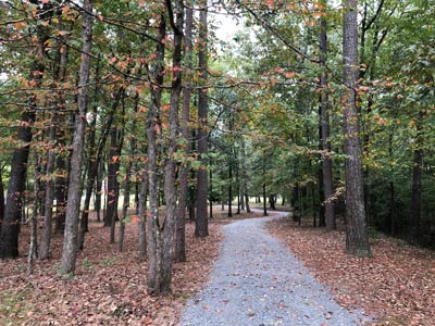 Nature Trail at Little Rock State Office near Coleman Creek