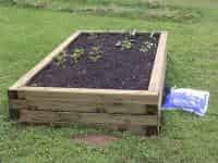 Raised Bed Gardens | Vegetable Gardening | Arkansas