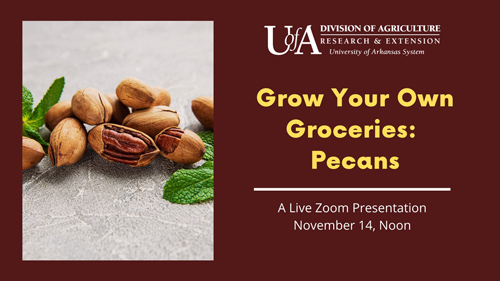Grow Your Own Groceries Pecans sessions