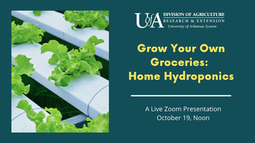 Grow Your Own Groceries Hydroponics sessions