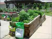 Raised Bed Gardens | Vegetable Gardening | Arkansas