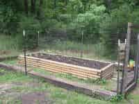 Raised Bed Gardens | Vegetable Gardening | Arkansas
