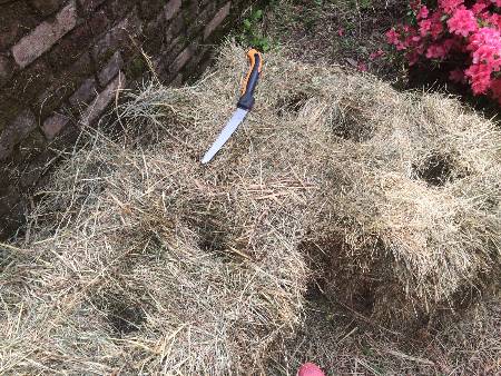 Step by step of creating a straw bale garden