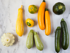 Different types of squash